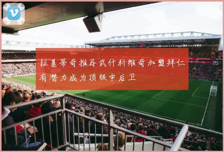 拉基蒂奇推荐武什科维奇加盟拜仁有潜力成为顶级中后卫