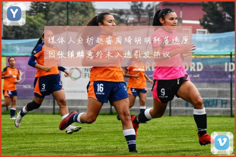 媒体人分析赵睿周琦胡明轩落选原因张镇麟意外未入选引发热议